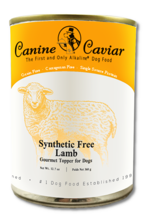 Synth Free Lamb