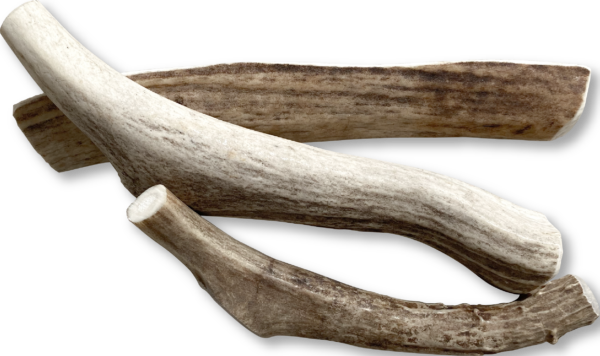 Venison Antlers