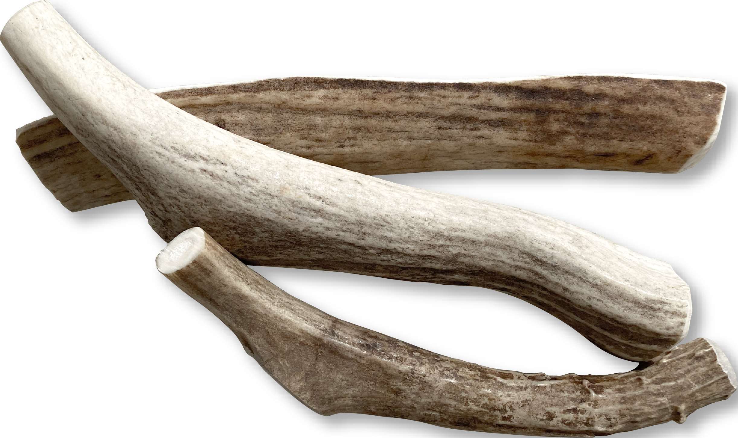 Venison Antlers