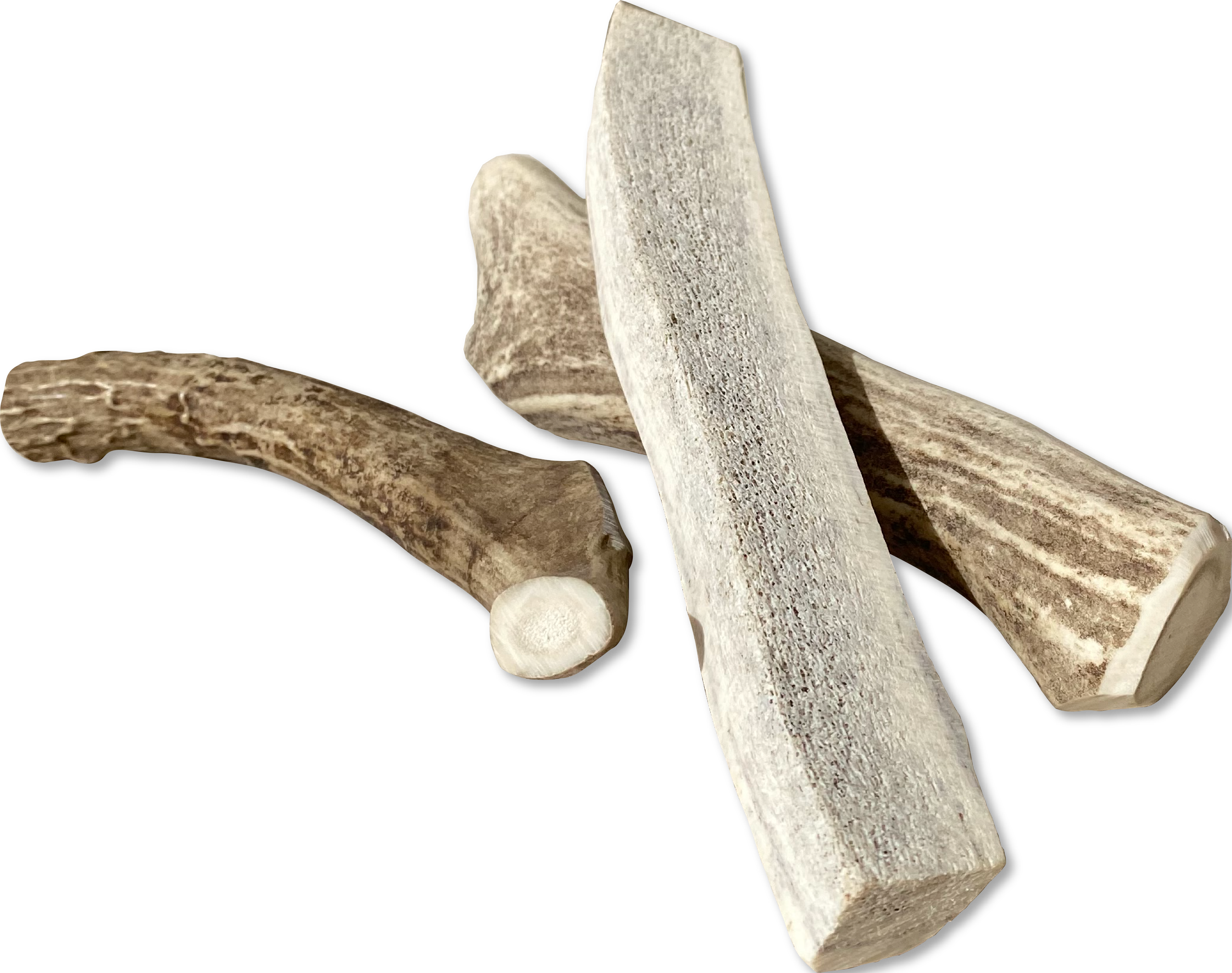 Venison Antlers - Image 3