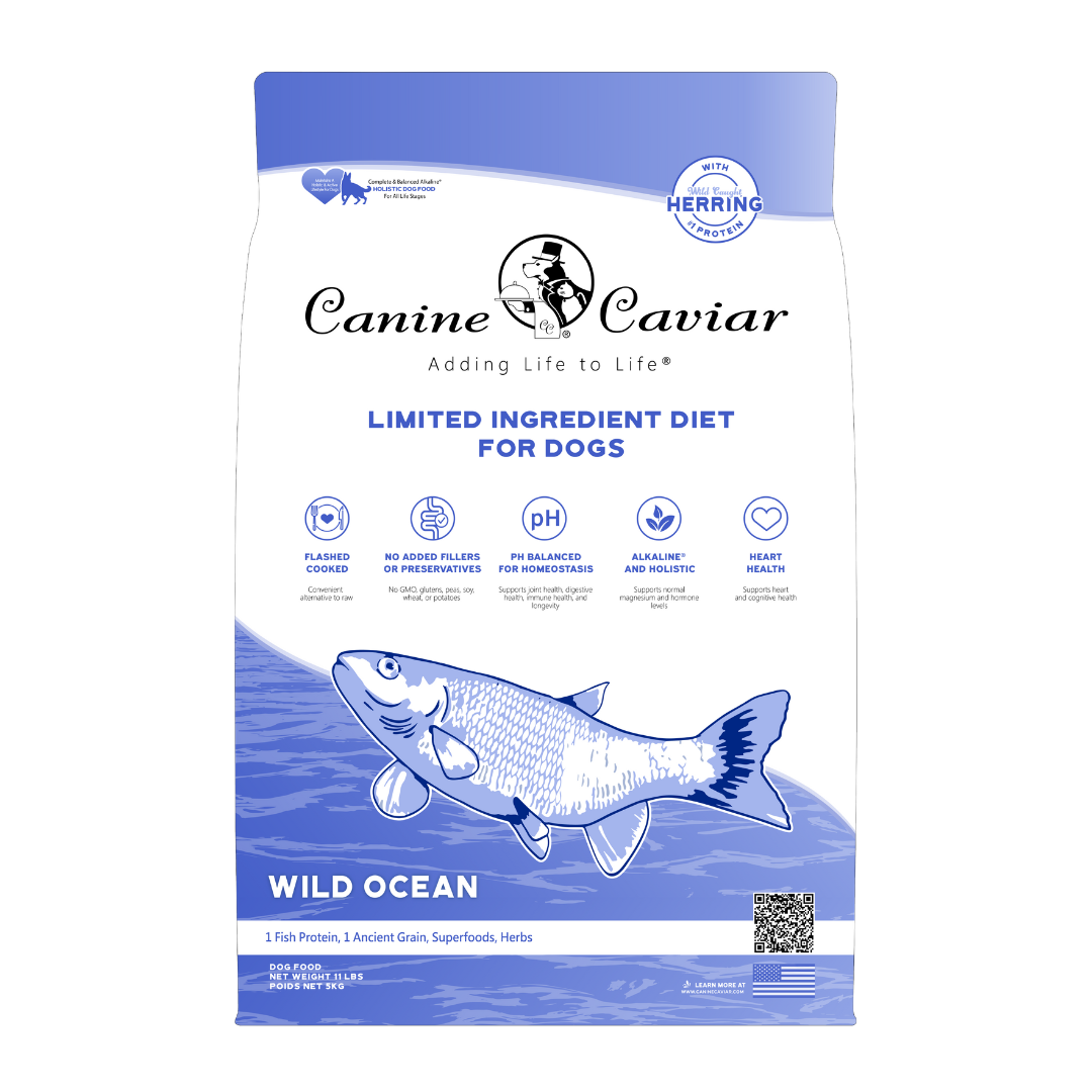 Wild Ocean Grain Free Cat Entrée - Image 3