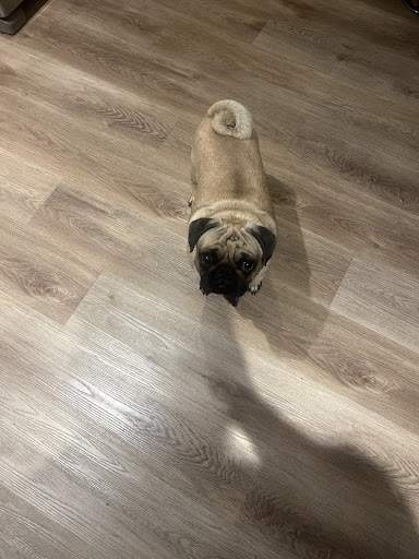 Photo from customer review