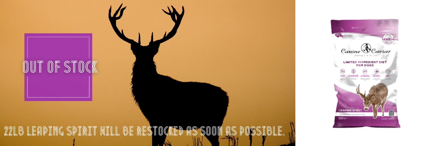 Leaping Spirit Out Of Stock