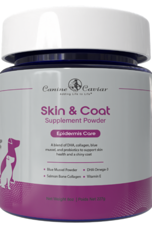 Skin & Coat Supplement Powder 8oz