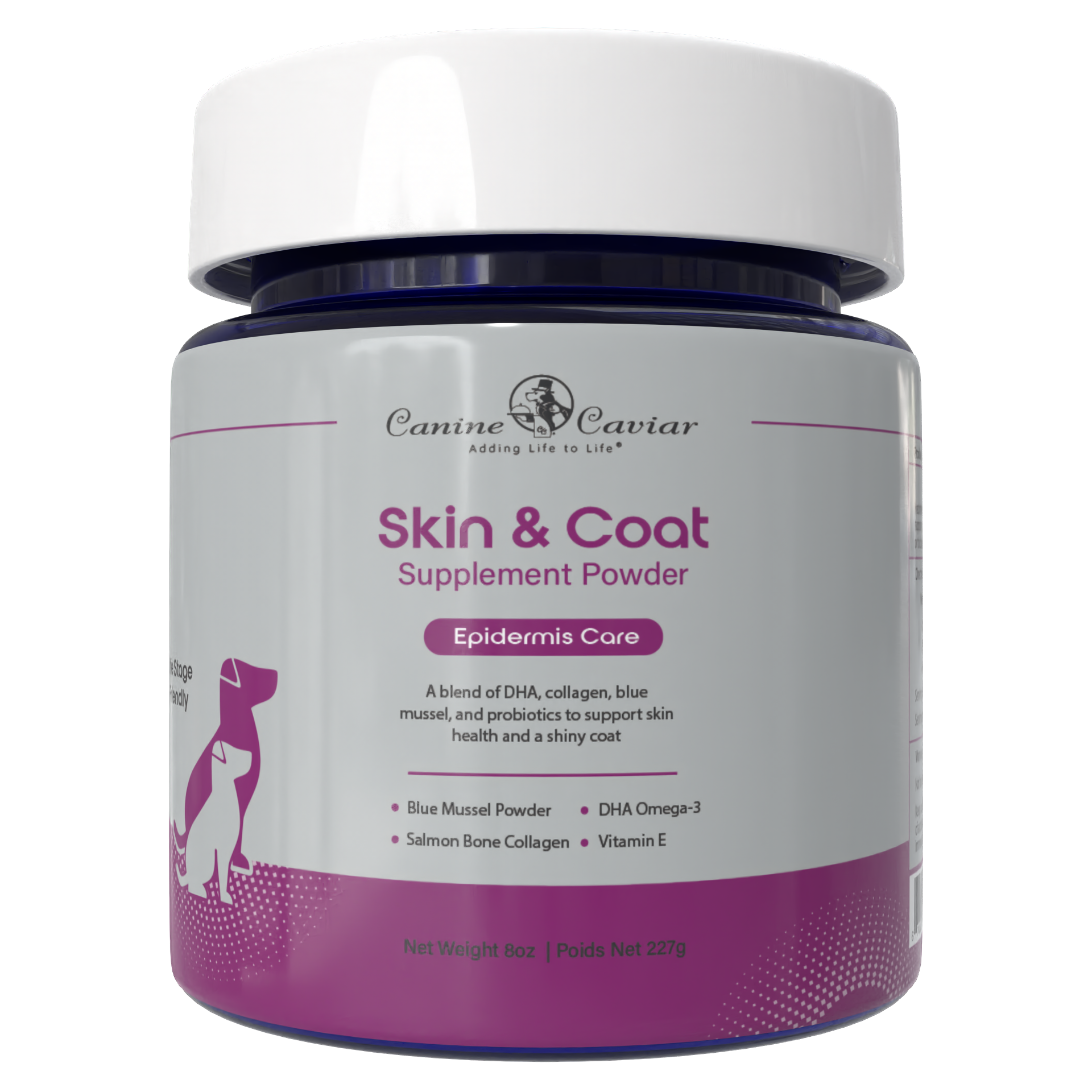 Skin & Coat Supplement Powder 8oz