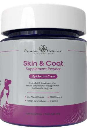 Skin & Coat Supplement Powder 8oz