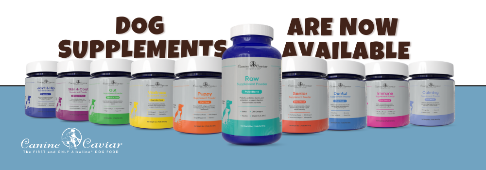 Dog Supplements