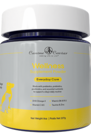 Wellness Everyday Care 8oz
